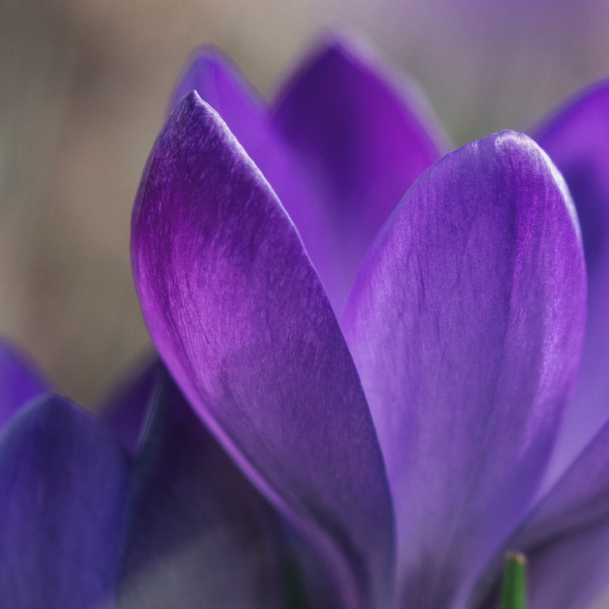 Compassionate Inquiry